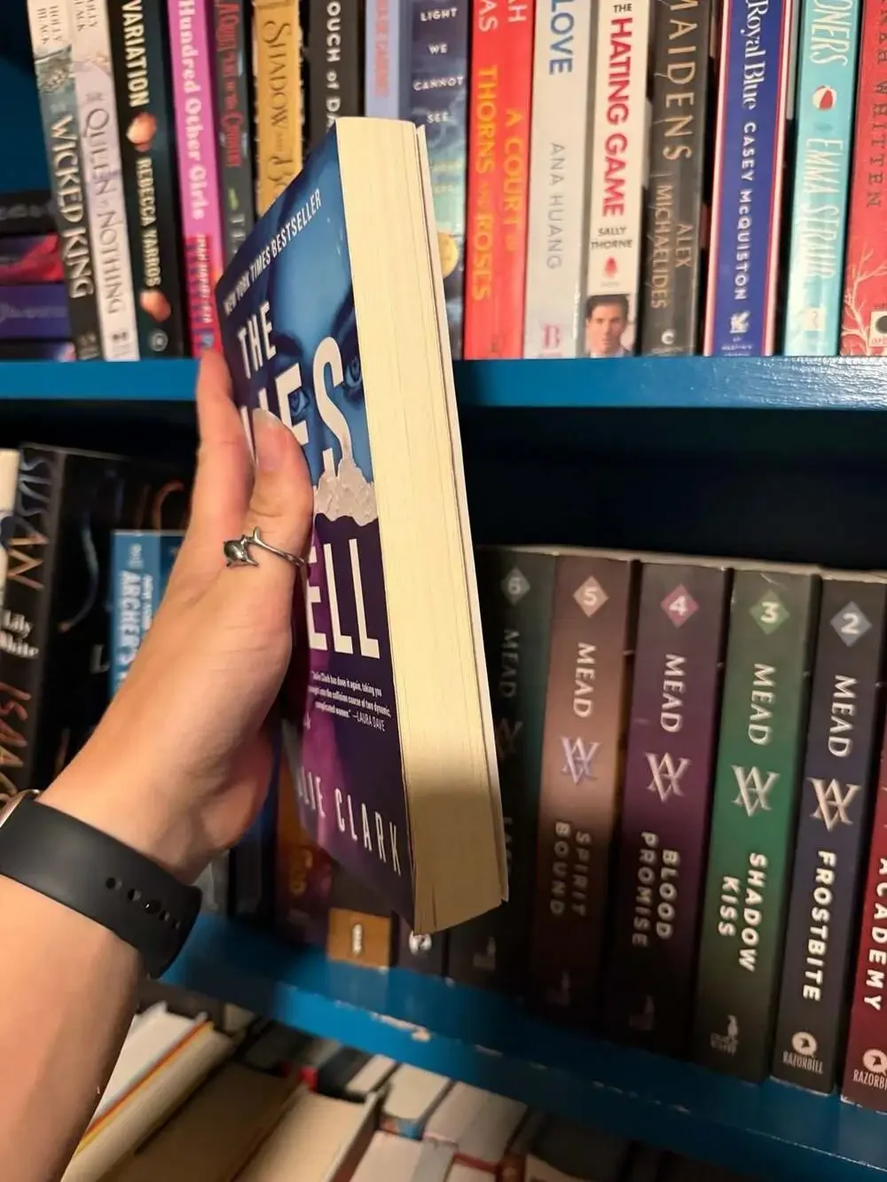 The Lies I Tell: A Novel by Julie Clark
